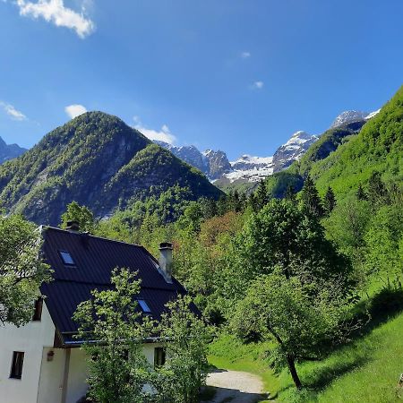 Apartment Pretner, Lepena Soča エクステリア 写真