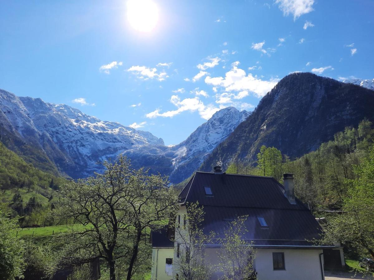 Apartment Pretner, Lepena Soča エクステリア 写真