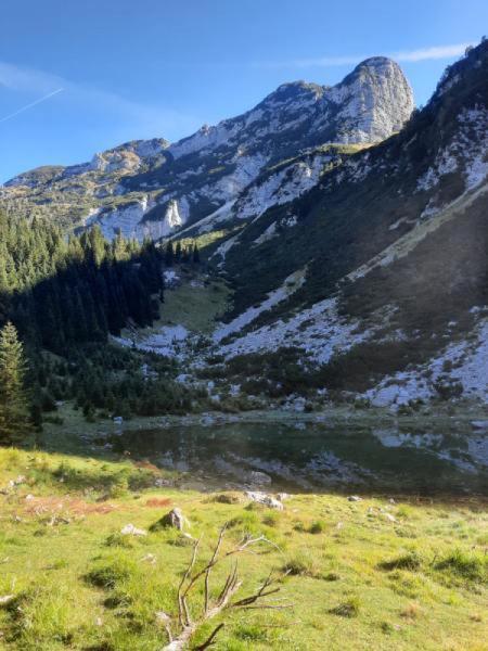 Apartment Pretner, Lepena Soča エクステリア 写真
