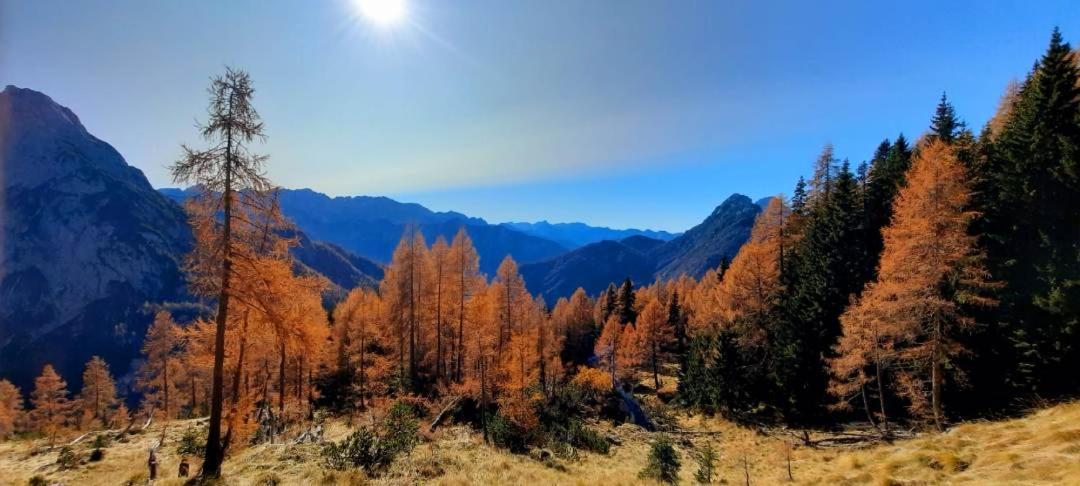 Apartment Pretner, Lepena Soča エクステリア 写真