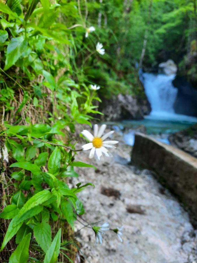 Apartment Pretner, Lepena Soča エクステリア 写真