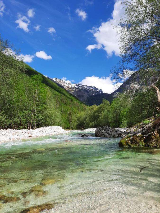 Apartment Pretner, Lepena Soča エクステリア 写真