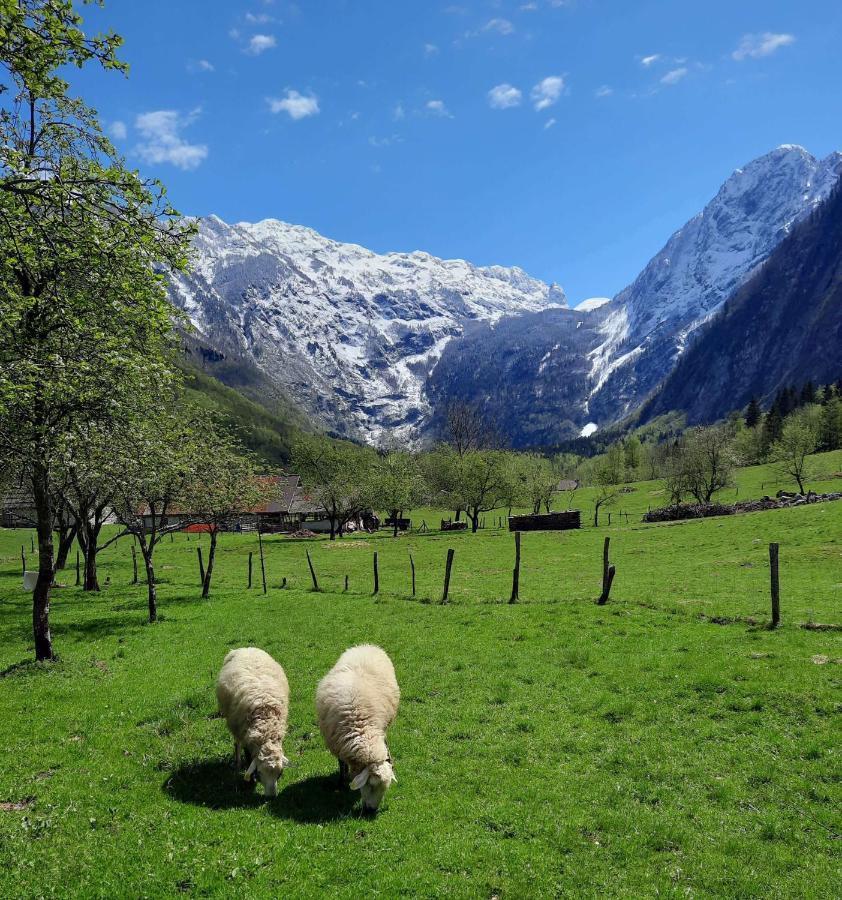 Apartment Pretner, Lepena Soča エクステリア 写真