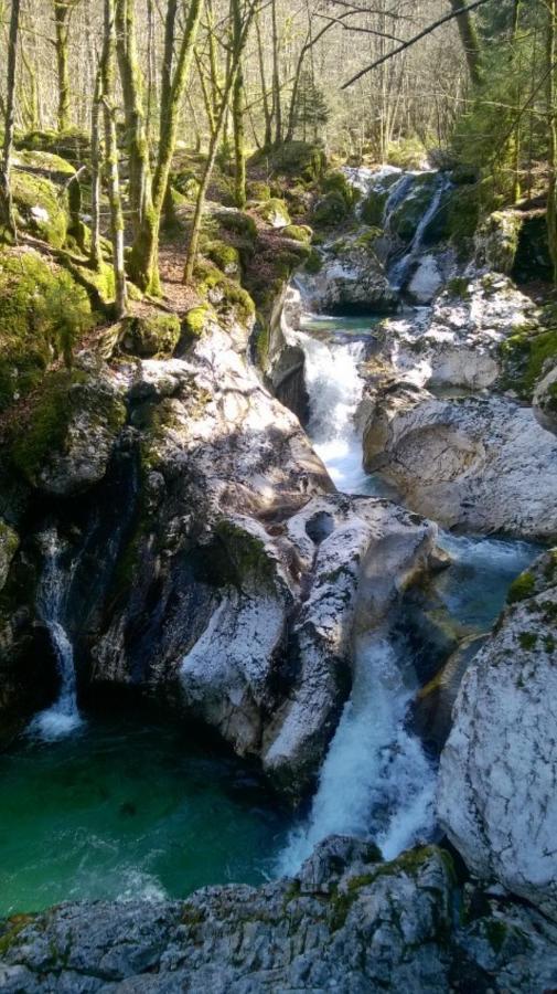 Apartment Pretner, Lepena Soča エクステリア 写真