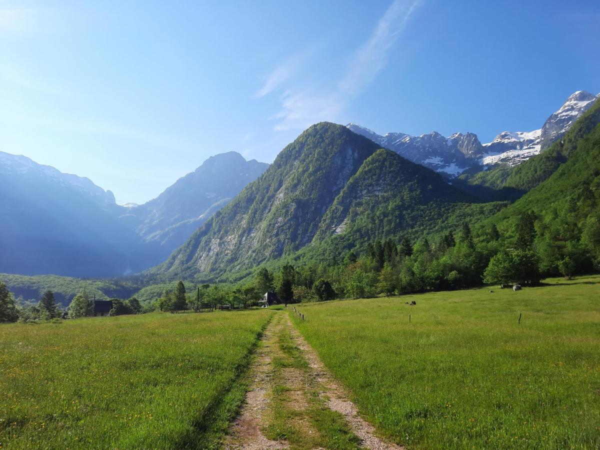 Apartment Pretner, Lepena Soča エクステリア 写真