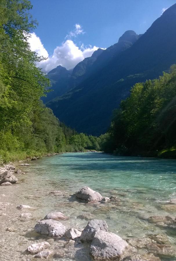 Apartment Pretner, Lepena Soča エクステリア 写真