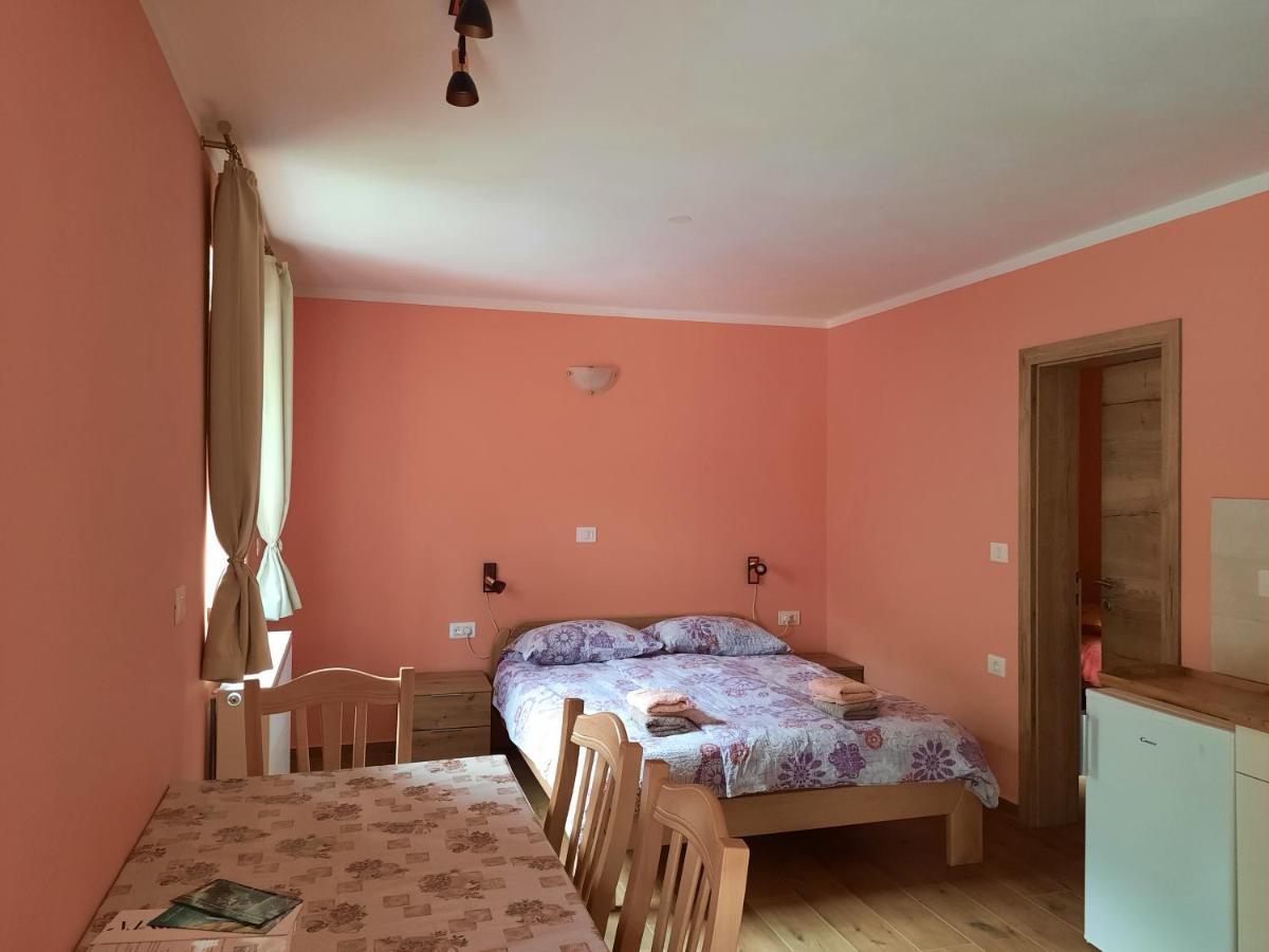 Apartment Pretner, Lepena Soča エクステリア 写真