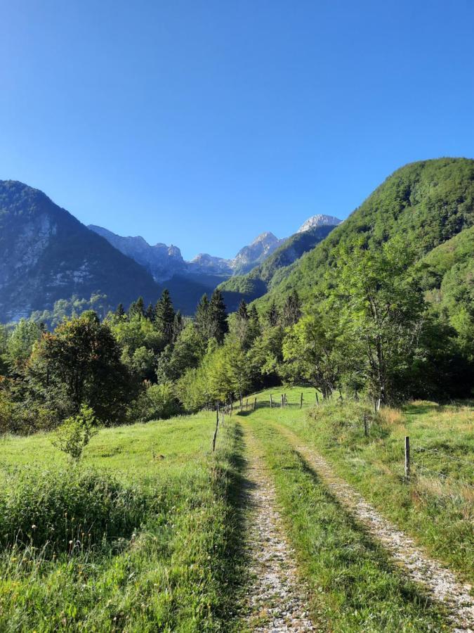 Apartment Pretner, Lepena Soča エクステリア 写真