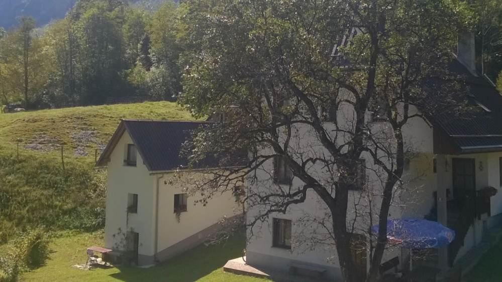Apartment Pretner, Lepena Soča エクステリア 写真